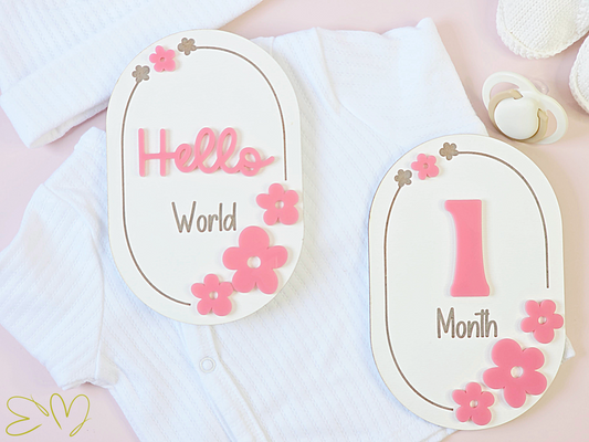 Baby Monthly Milestone Markers