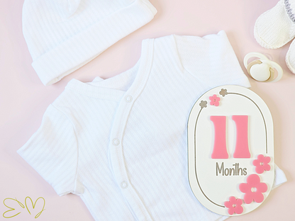 Baby Monthly Milestone Markers
