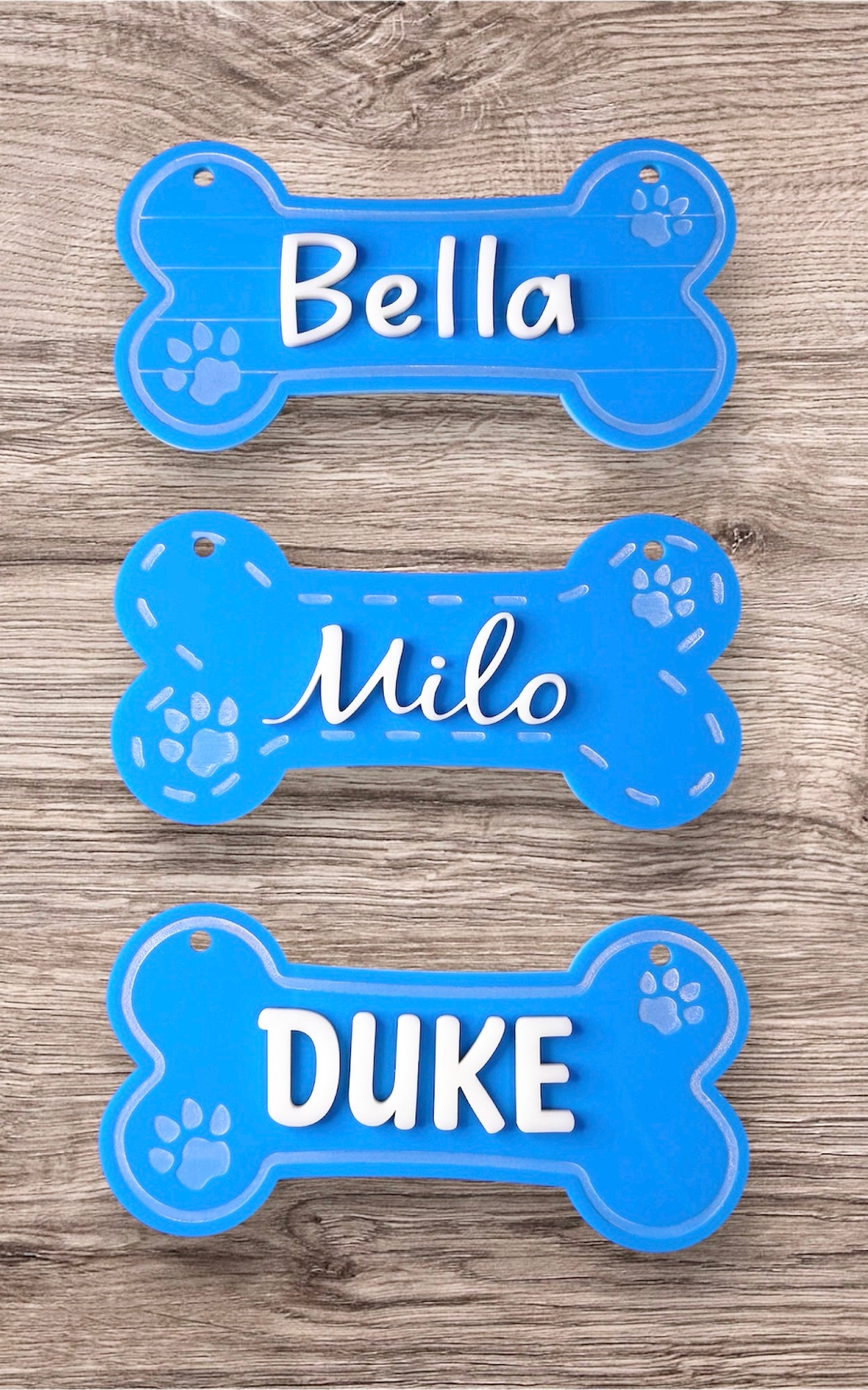 Dog Bone-Shaped Blue Acrylic Nameplate